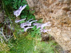 TN_DSCF1775.JPG